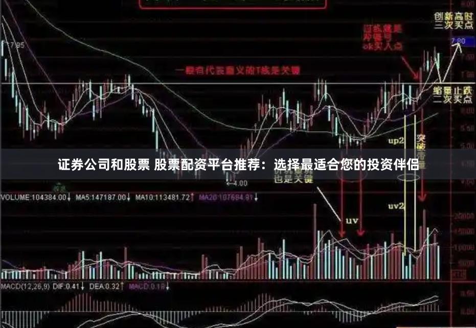 证券公司和股票 股票配资平台推荐：选择最适合您的投资伴侣